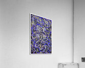 V956 Acrylic Print