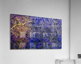 V963 Acrylic Print