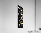 V964 Acrylic Print