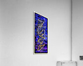 V965 Acrylic Print