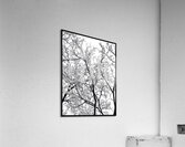 V969 Acrylic Print