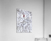 V974 Acrylic Print