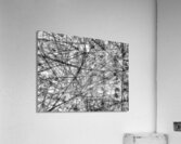 V976 Acrylic Print