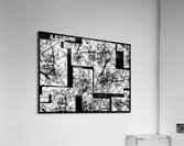 V977 Acrylic Print