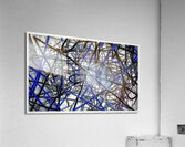 V981 Acrylic Print