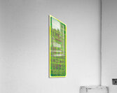 V982 Acrylic Print