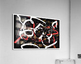 V987 Acrylic Print