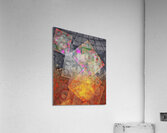V989 Acrylic Print
