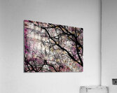 V992 Acrylic Print
