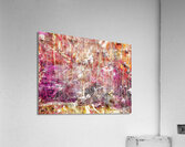 V994 Acrylic Print
