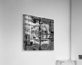 V998 Acrylic Print