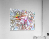 V999 Acrylic Print