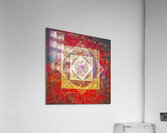 V1000 Acrylic Print