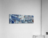 V1001 Acrylic Print
