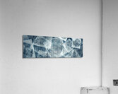 V1002 Acrylic Print