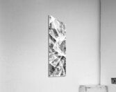 V1003 Acrylic Print