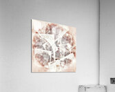 V1008 Acrylic Print