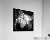 V1011 Acrylic Print