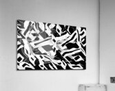 V1012 Acrylic Print