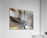 V1013 Acrylic Print