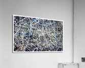 V1014 Acrylic Print