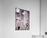 V1016 Acrylic Print