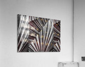 V1018 Acrylic Print