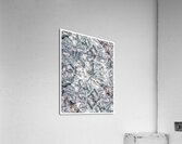 V1019 Acrylic Print