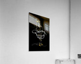 V1021 Acrylic Print