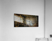 V1023 Acrylic Print