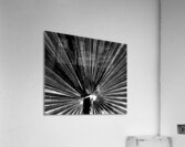 V1030 Acrylic Print