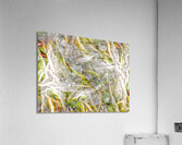 V1031 Acrylic Print
