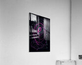 V1036 Acrylic Print