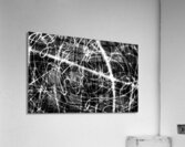 V1038 Acrylic Print