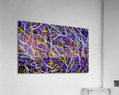 V1043 Acrylic Print