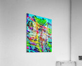 V1044 Acrylic Print