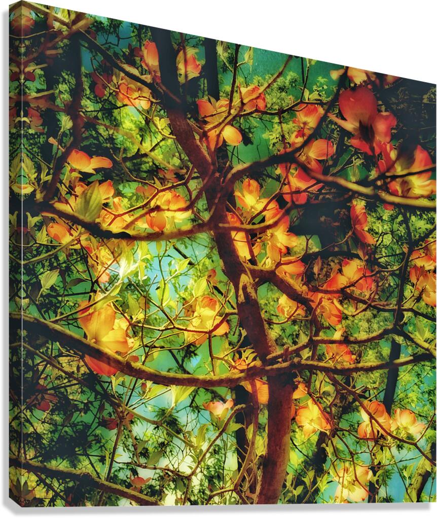 V1704 Canvas Print