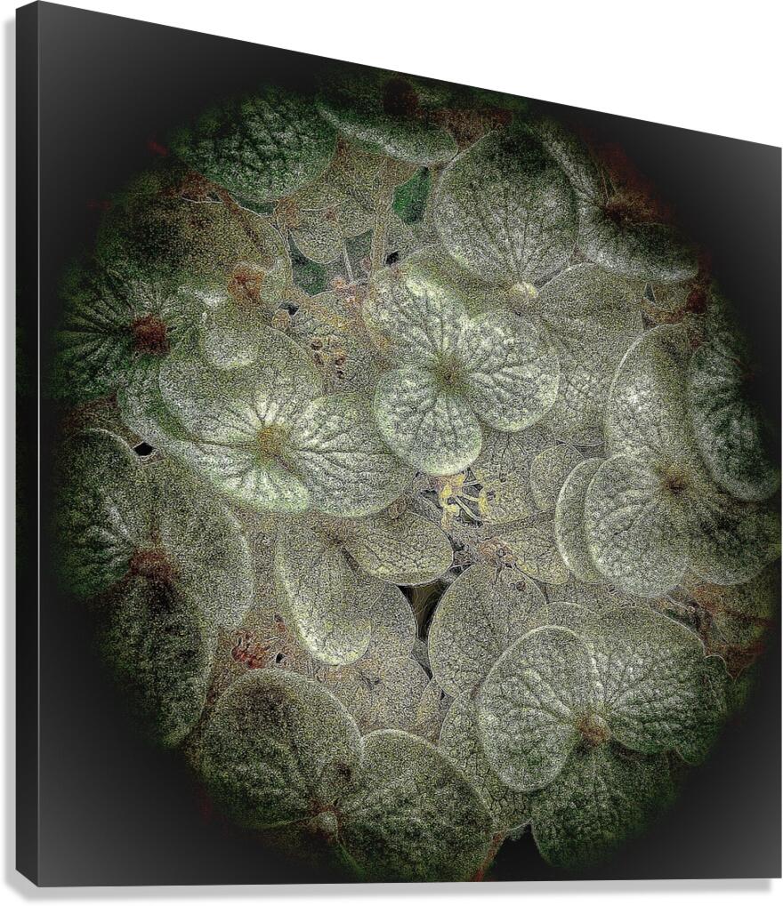 V1719 Canvas Print