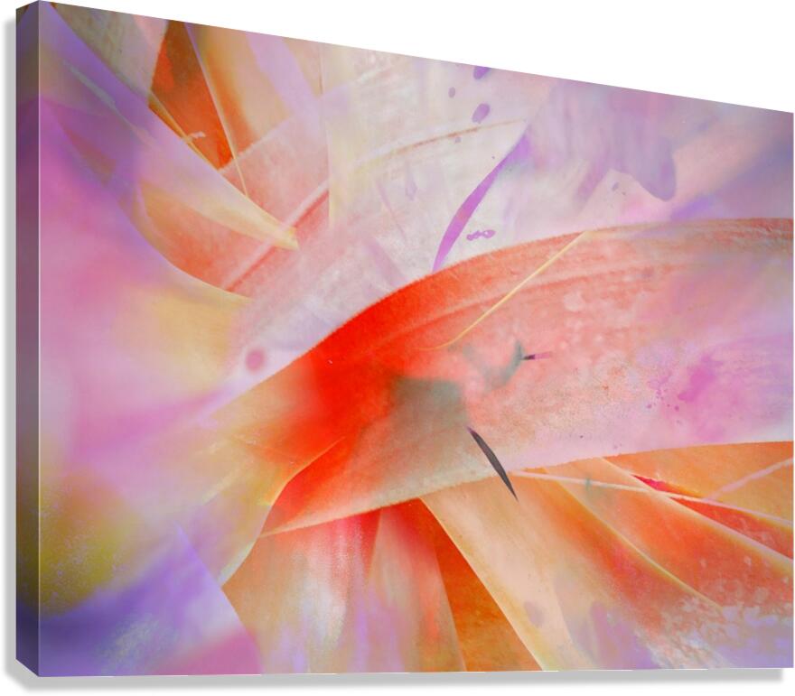 V1725 Canvas Print