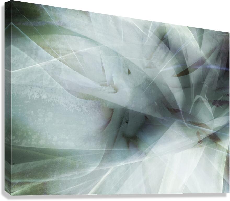 V1726 Canvas Print