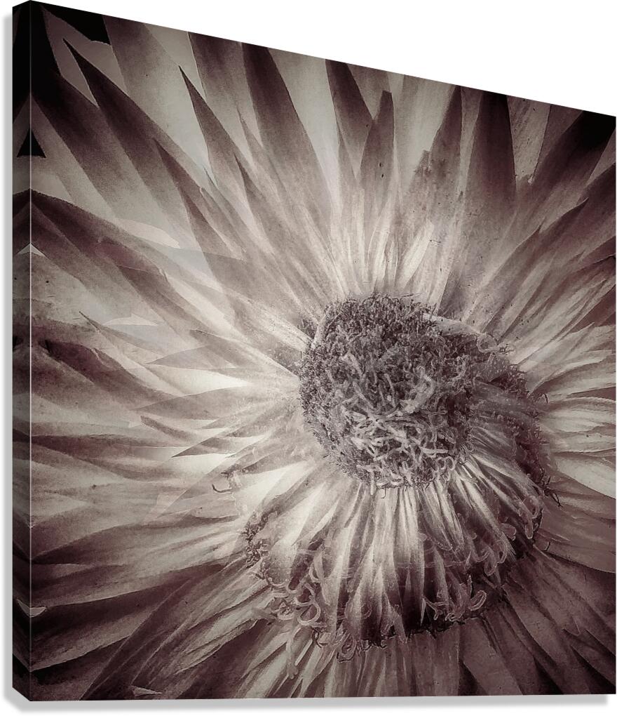 V1731 Canvas Print