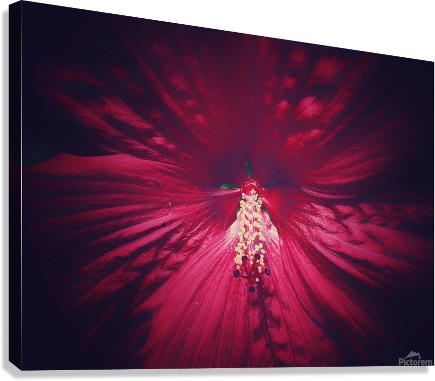 V1734 Canvas Print