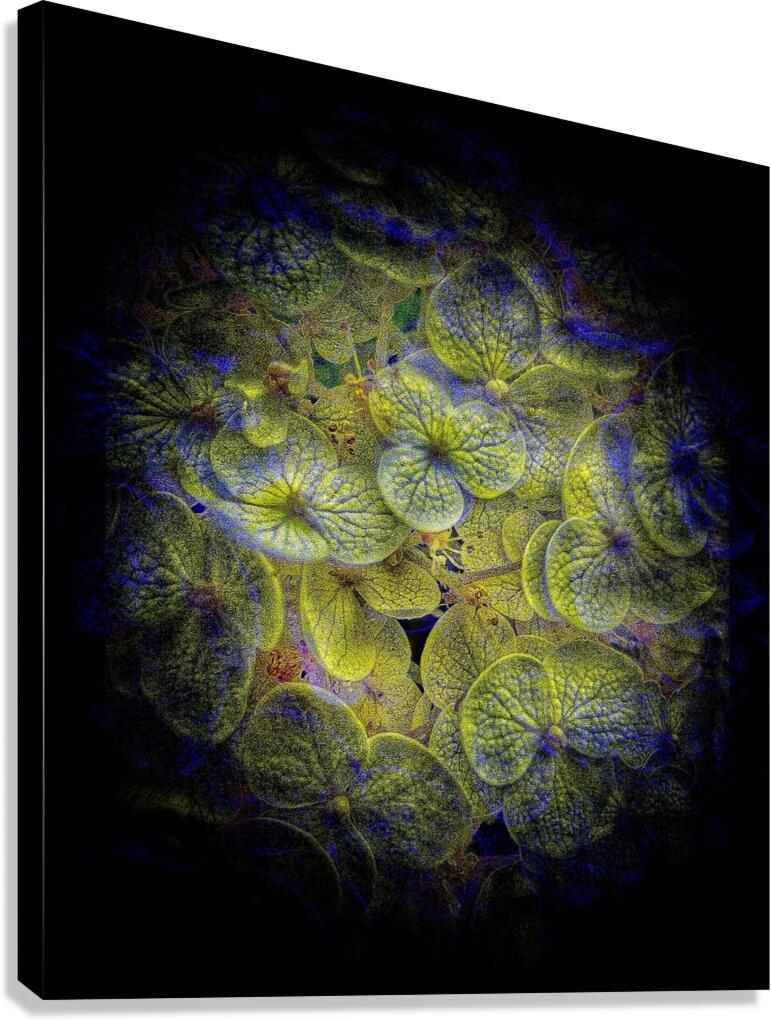 V1761 Canvas Print