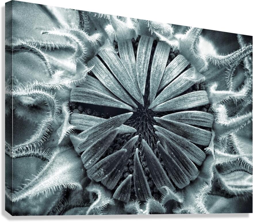 V1767 Canvas Print