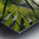 V1279 Metal print