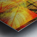 V1375 Metal print