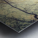 V200 Metal print