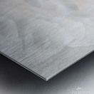 V296 Metal print