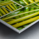 V329 Metal print