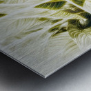 V351 Metal print